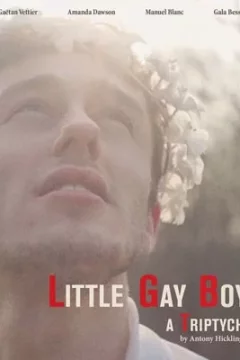 Affiche du film = Little Gay Boy