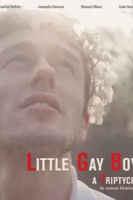 Affiche du film Little Gay Boy