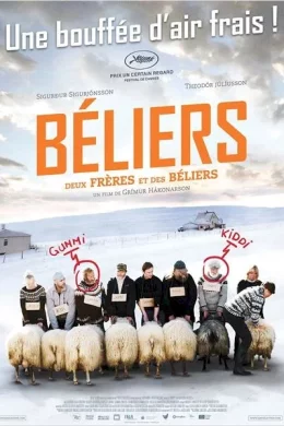 Affiche du film Béliers