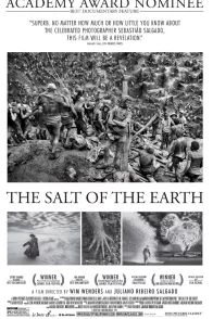 Affiche du film : Le Sel de la Terre
