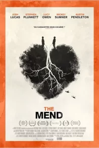 Affiche du film : The Mend