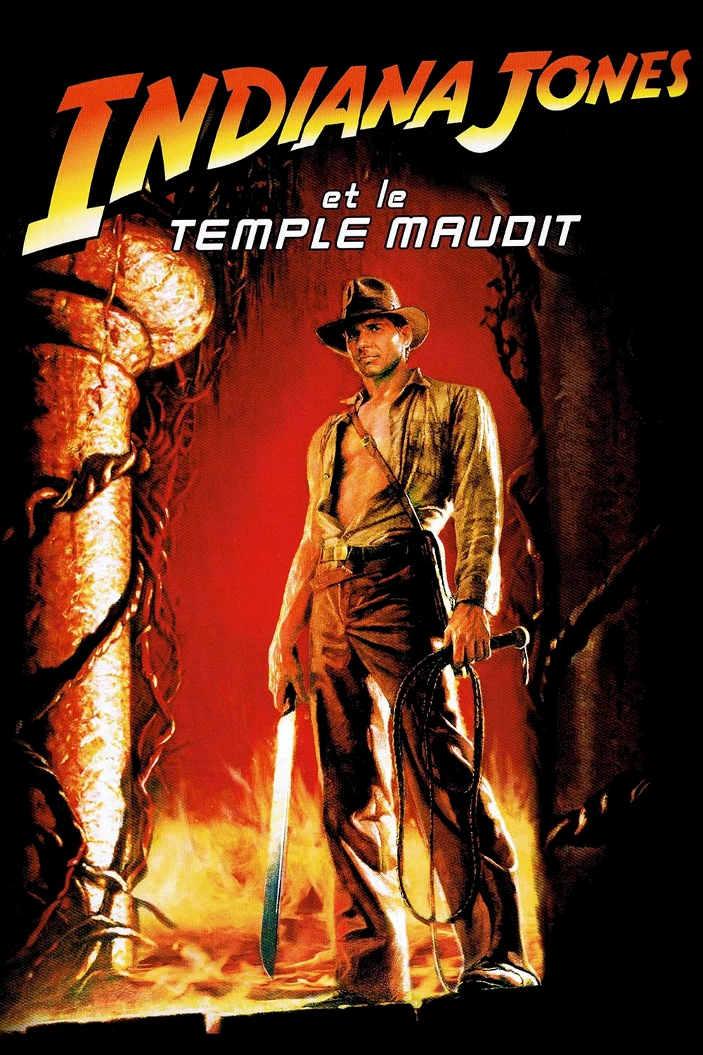 Photo 1 du film : Indiana Jones et le Temple Maudit