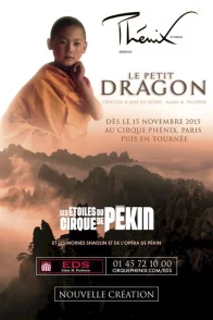 Affiche du film : Le Petit Dragon
