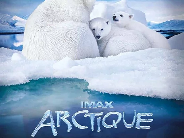 Photo du film : Arctique