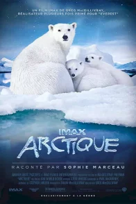 Affiche du film : Arctique