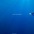 Photo du film : Le Monde de Dory 