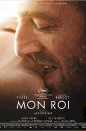 Affiche du film Mon roi