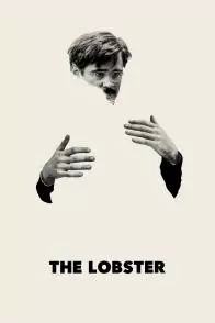 Photo 2 du film : The Lobster