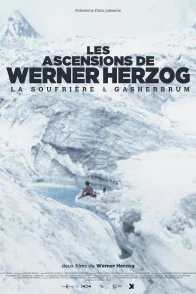 Affiche du film : Les Ascensions de Werner Herzog