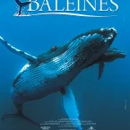 Photo du film : Baleines
