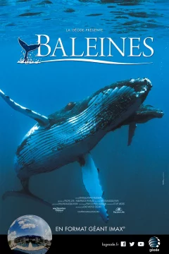 Affiche du film = Baleines