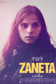 Affiche du film : Zaneta