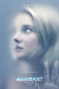 Affiche du film : Divergente 3 : au-delà du mur