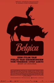 Affiche du film : Belgica