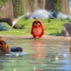 Photo du film : Angry Birds - Le Film
