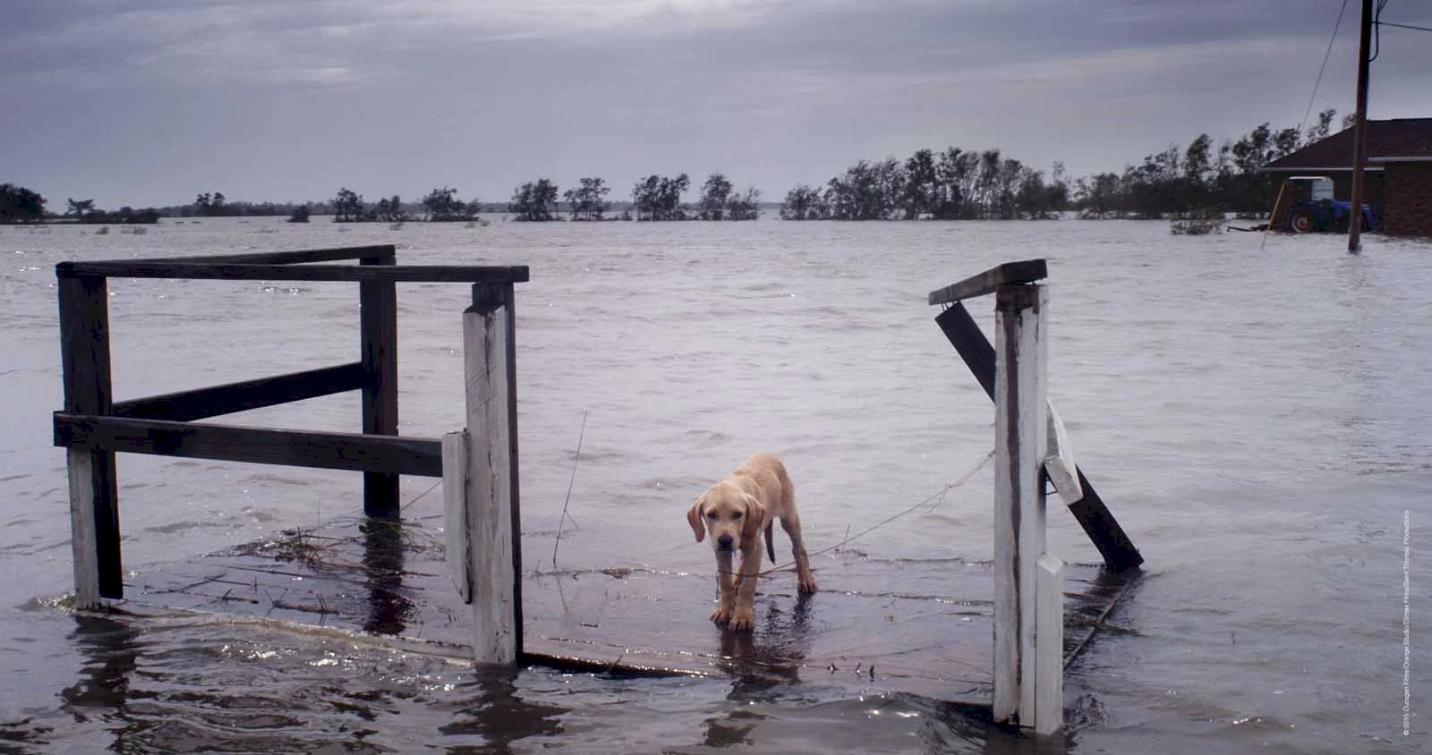 Photo 1 du film : Ouragan