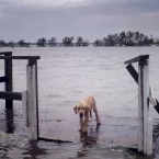 Photo du film : Ouragan