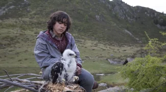 Affiche du film : L'Aigle et l'Enfant