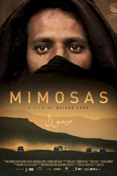 Affiche du film = Mimosas