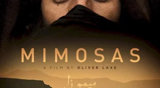 Affiche du film : Mimosas