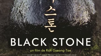 Affiche du film : Black Stone