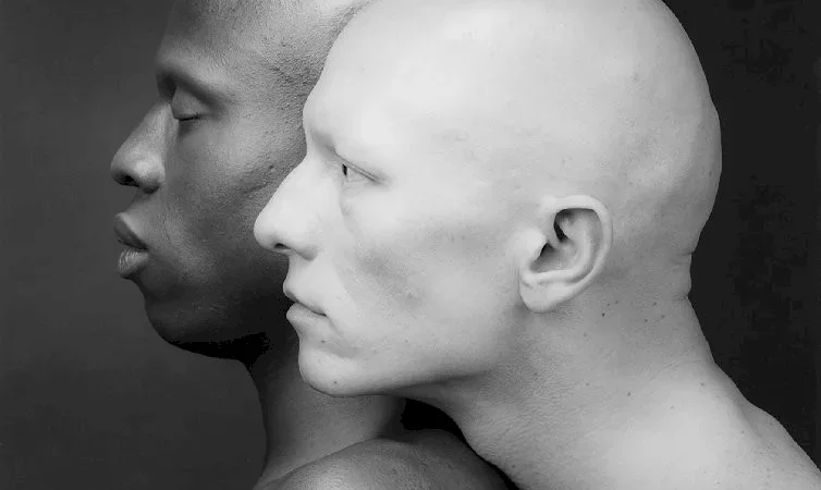 Photo du film : Mapplethorpe, look at the pictures