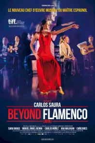 Affiche du film : Beyond Flamenco