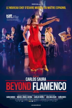 Affiche du film = Beyond Flamenco