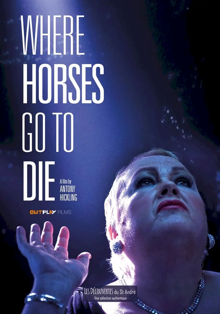 Photo 1 du film : Where Horses Go To Die