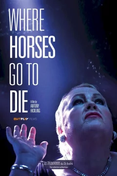 Affiche du film = Where Horses Go To Die