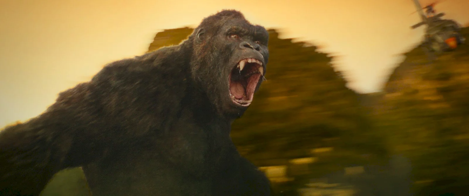 Photo 2 du film : Kong: Skull Island