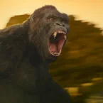 Photo du film : Kong: Skull Island