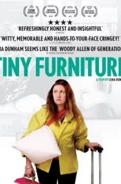Affiche du film : Tiny Furniture