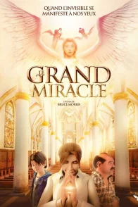 Affiche du film : Le Grand Miracle
