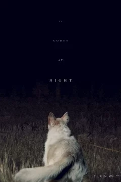 Affiche du film = It Comes At Night