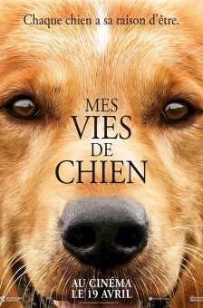 Affiche du film : Mes vies de chien