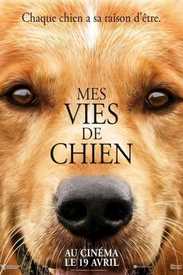 Affiche du film Mes vies de chien