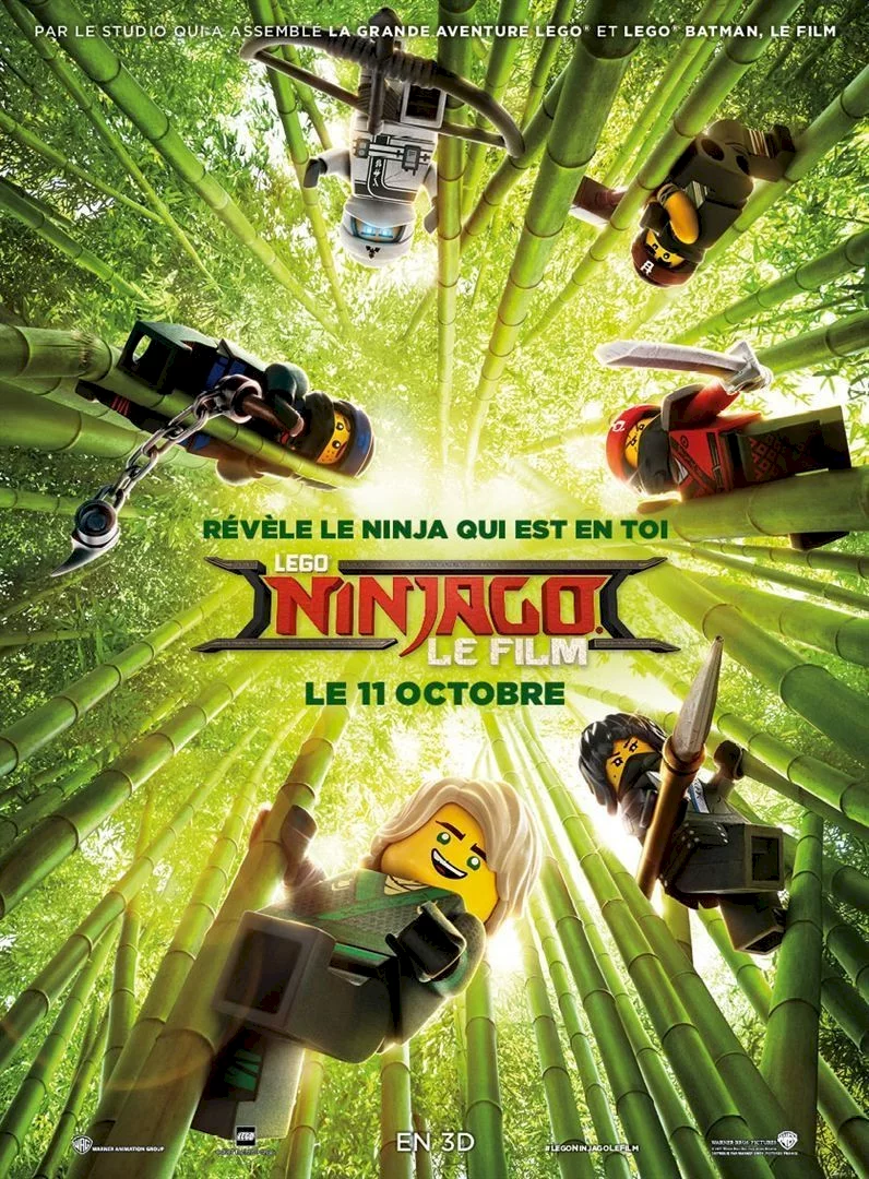 Photo 2 du film : Lego Ninjago : le film