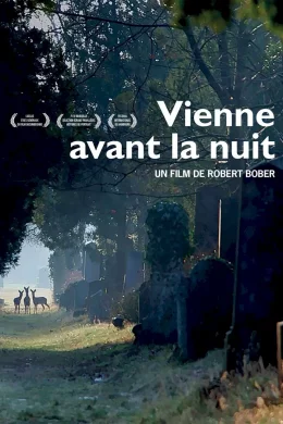 Affiche du film Vienne avant la nuit
