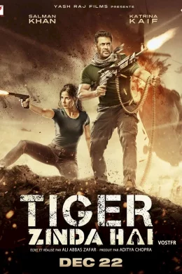 Affiche du film Tiger Zinda Hai