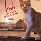 Photo du film : Kedi : des chats et des hommes