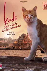 Affiche du film : Kedi : des chats et des hommes