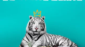 Affiche du film : Le Tigre blanc