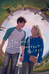 Affiche du film : The Map of Tiny Perfect Things