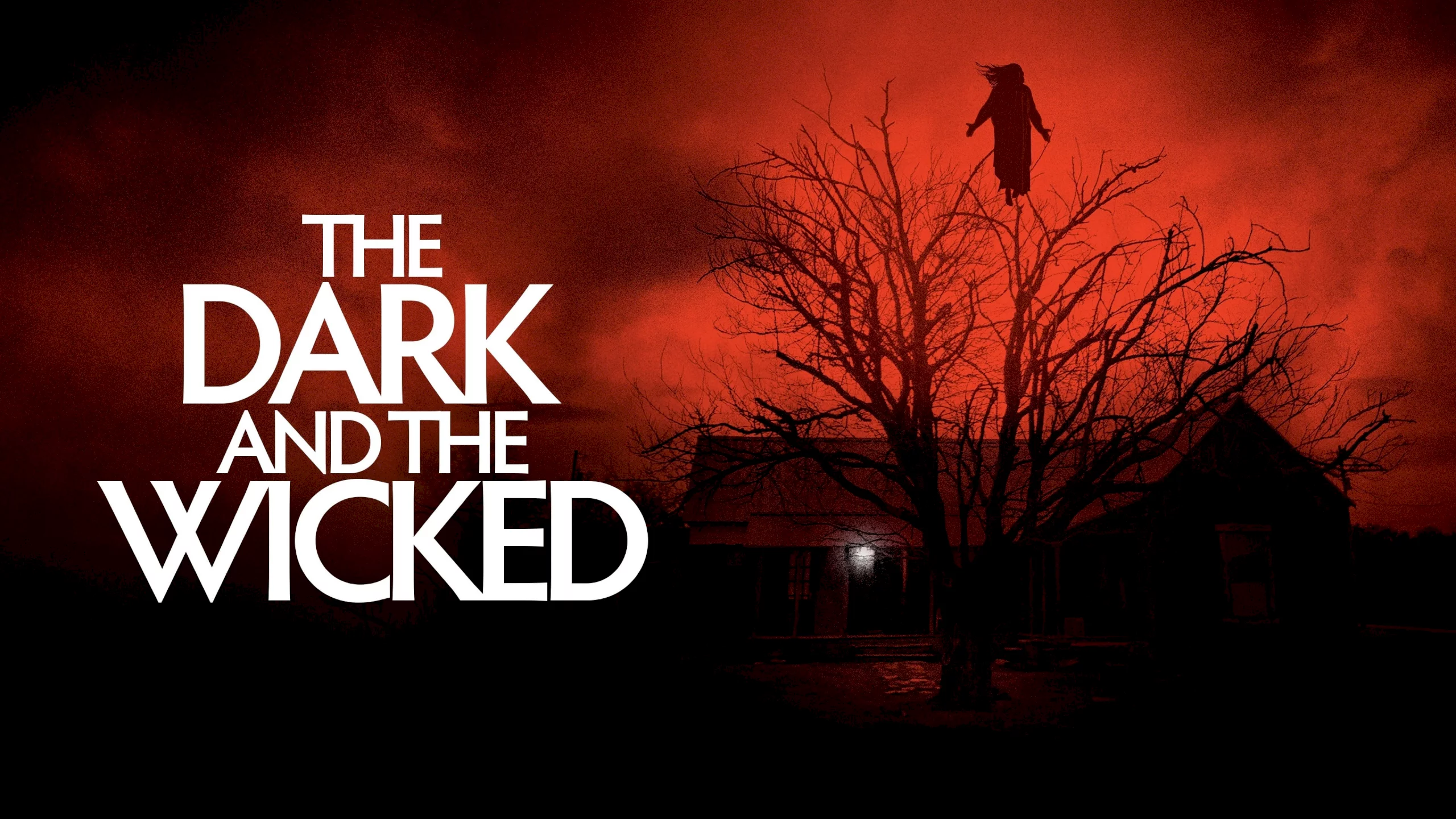 Photo 1 du film : The Dark and the Wicked