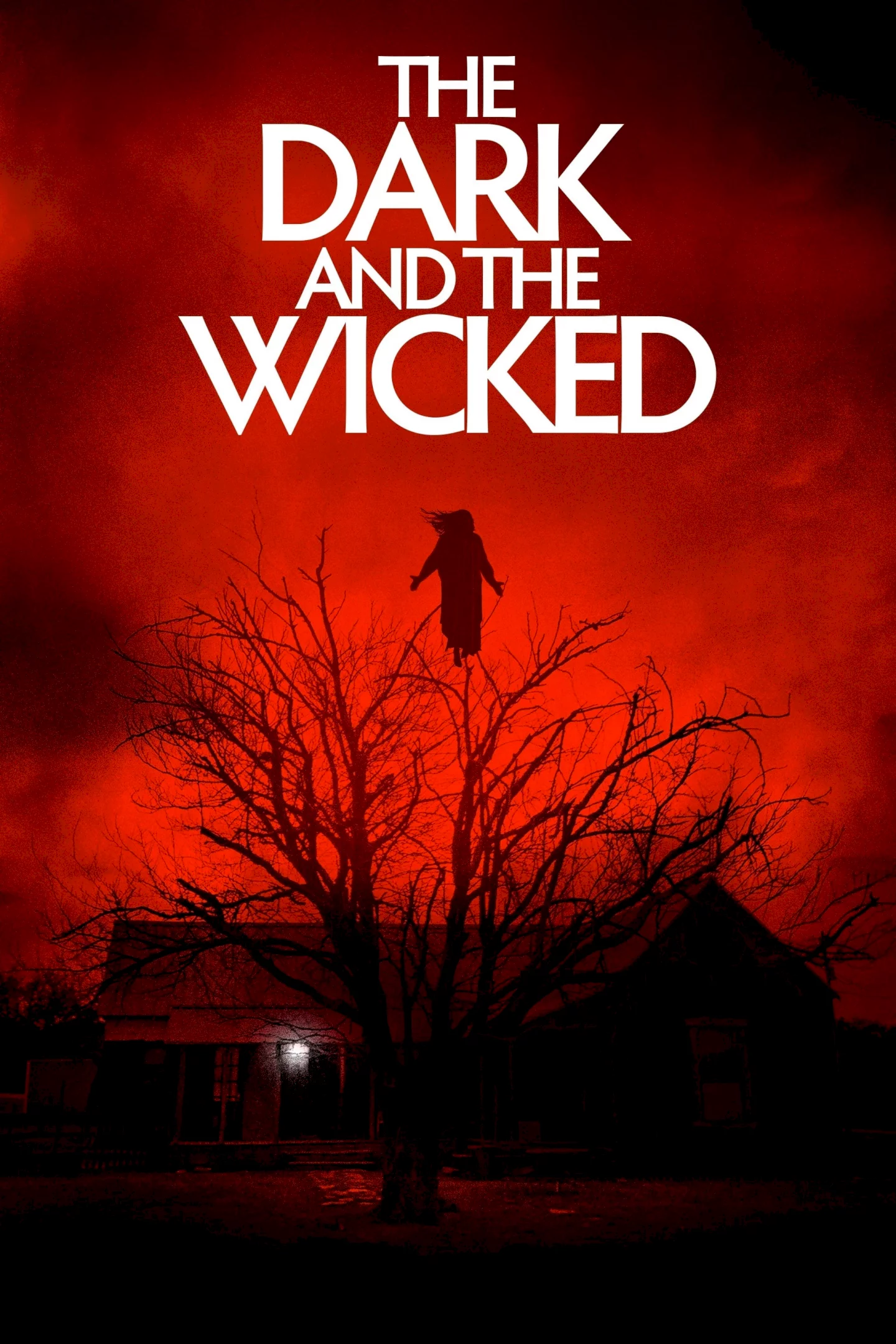 Photo 3 du film : The Dark and the Wicked