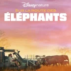 Photo du film : Sur la route des éléphants