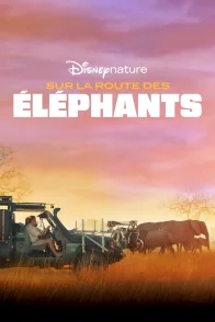 Affiche du film : Sur la route des éléphants
