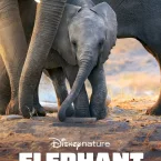 Photo du film : Elephants