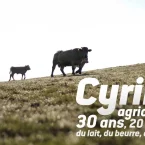 Photo du film : Cyrille, agriculteur, 30 ans, 20 vaches, du lait, du beurre, des dettes